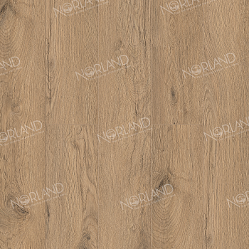 Sandra 1022-4