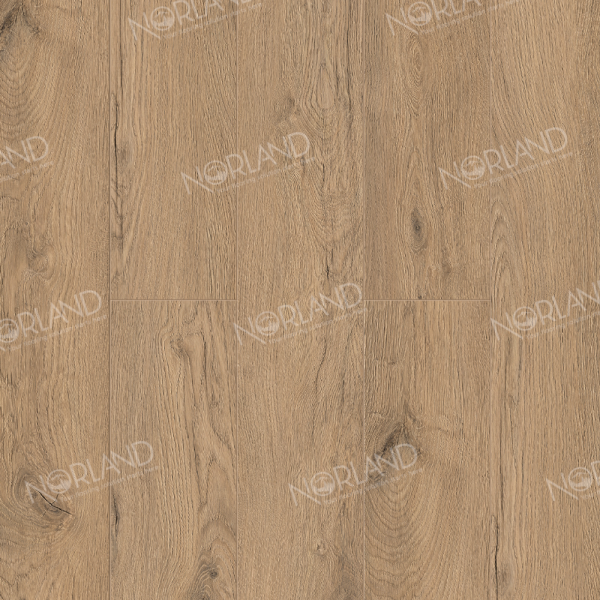 Sandra 1022-4