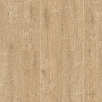 Dor 1001-3