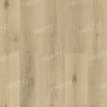 Solem 1022-10