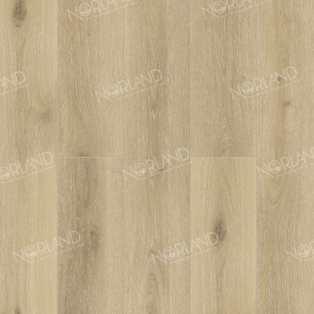 Solem 1022-10
