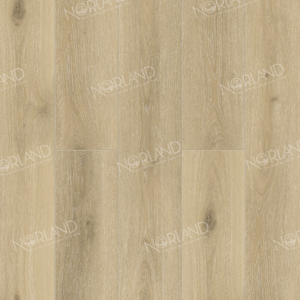 Solem 1022-10