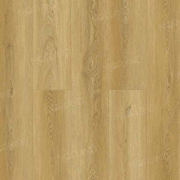 Vold 1022-11