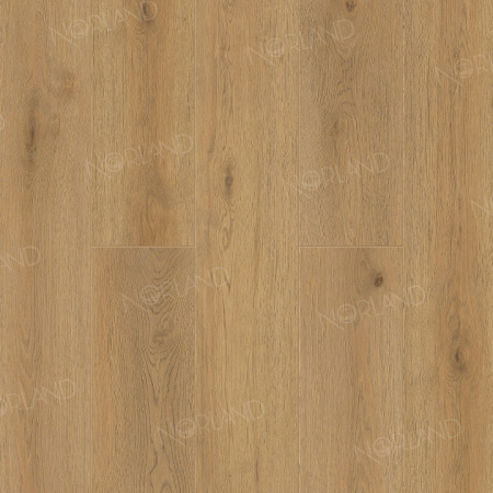 ABA ламинат Blake 1008-2 ABA