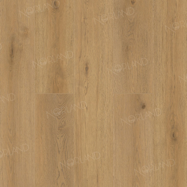 LVT плитка  Blake 1003-2