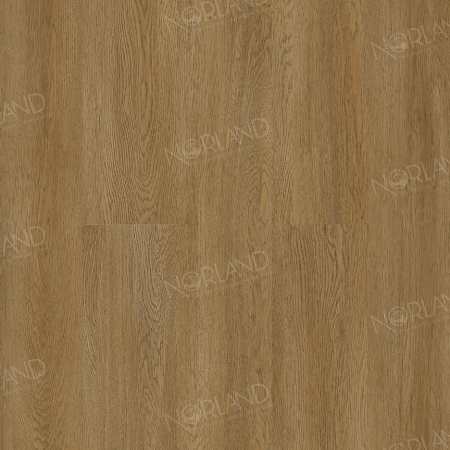 Lierne 1022-14