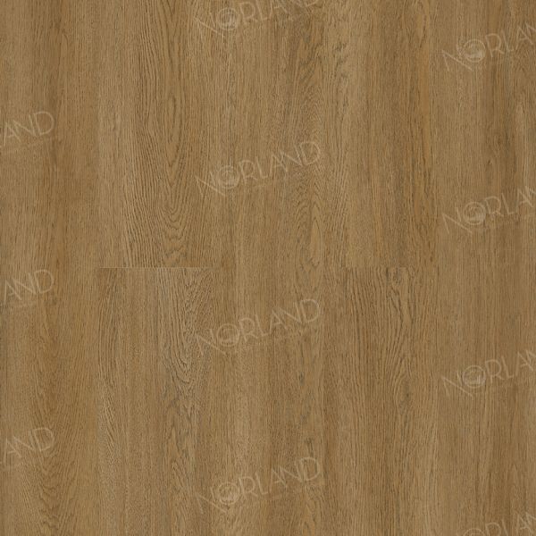 Lierne 1022-14