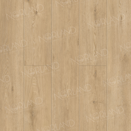 Dor 1006-6