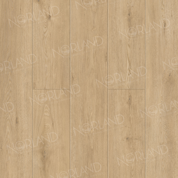 Dor 1006-6