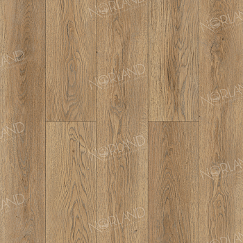 Gaula 1022-21