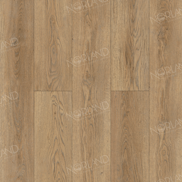 Gaula 1022-21