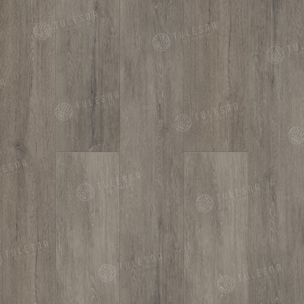 Strabo 1002-1
