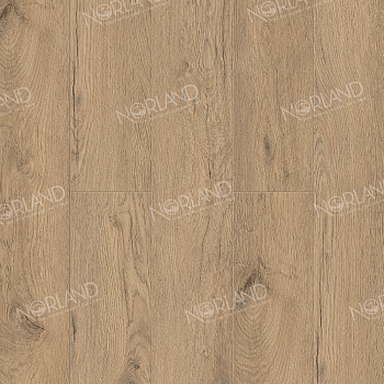 Alida 1022-6