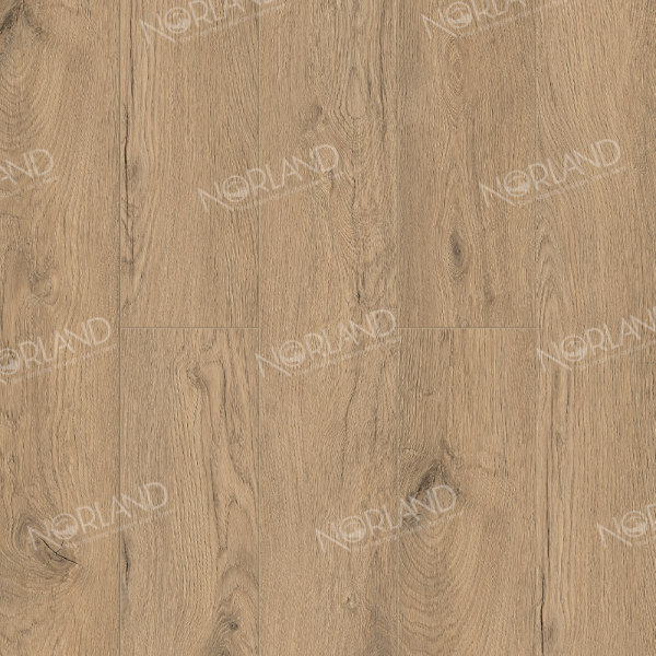 Alida 1022-6