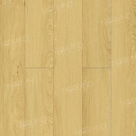 Ламинат Дуб Элмер LF301-08